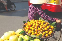 Mùa trôi trên phố