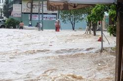 TP Quy Nhơn, Bình Định: Mưa lớn gây ngập sâu, nhiều người dân 'mắc kẹt'