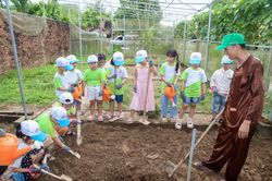Hào hứng du lịch trải nghiệm cho trẻ