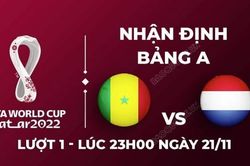 Nhận định trận đấu giữa Senegal vs Hà Lan, 23h00 ngày 21/11 - trực tiếp World Cup 2022