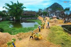 Về với quê xưa