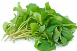 6 loại rau bán đầy chợ giúp thải cặn bã, dưỡng tử cung: Chị em chăm ăn để nội tiết dồi dào