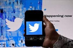 Tài khoản Twitter của cựu Tổng thống Mỹ Donald Trump được khôi phục