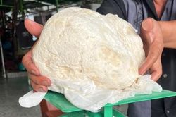 Ngư dân ở Huế vớt được vật lạ, nghi long diên hương quý hiếm