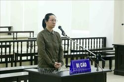 Phúc thẩm về tội trốn thuế, bị cáo Ngụy Thị Khanh được giảm án