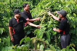 Giải pháp nâng cao giá trị xuất khẩu sản phẩm Việt từ Nestlé Việt Nam