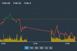 VN-Index 'đỏ vỏ', hơn 120 mã vẫn kịch trần