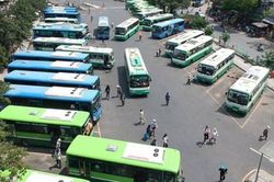 Không để 'lờn' luật thêm nữa!
