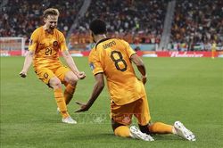 World Cup 2022: Cody Gakpo - 'Thần tài' của Hà Lan