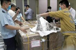 Tăng cường chống buôn lậu, gian lận thương mại qua cảng hàng không quốc tế