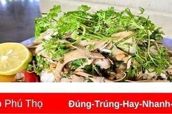 Đậm đà hương vị cọ quê hương