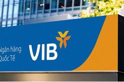 VIB rót thêm 250 tỷ đồng vào công ty VIBAMC