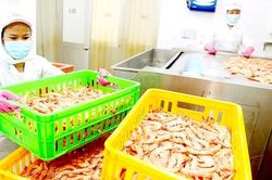 Xuất khẩu nông sản, thực phẩm chế biến: Nắm bắt thời cơ vàng
