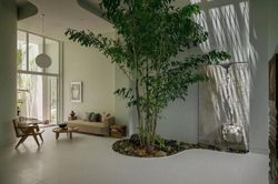 Thiết kế nhà phố với những hòn đá độc đáo