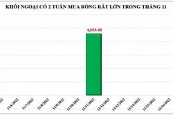 Thị trường chứng khoán: Dòng tiền sẽ có sự phân hóa giữa các nhóm cổ phiếu