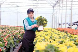 Lâm Đồng phát triển hơn 65 nghìn ha nông nghiệp công nghệ cao