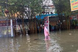 Phố đi bộ Nguyễn Tài và nhiều nhà dân ngập băng trong mưa
