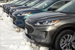 Ford thu hồi gần 519.000 xe tại Mỹ vì nguy cơ cháy