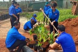Nhiều công trình, phần việc ý nghĩa của tuổi trẻ xã Tân Thanh