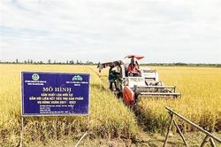 Ứng dụng khoa học kỹ thuật trong sản xuất phân bón hữu cơ