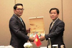 Kinh tế Kinh tế Thừa Thiên Huế tham gia Hội nghị 'Chính quyền địa phương và khu vực Đông Á lần thứ 11'