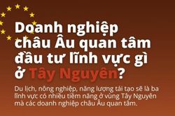 Doanh nghiệp châu Âu quan tâm đầu tư lĩnh vực gì ở Tây Nguyên?