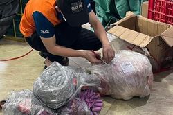 Hà Nội: Kiểm tra đột xuất cơ sở giao hàng nhanh, phát hiện gần 12kg pháo nổ