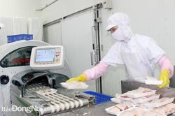 Đồng Nai phát triển chăn nuôi công nghiệp