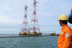 Giá xăng dầu hôm nay 26/11: Dầu thô tiếp đà giảm
