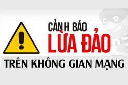 Các hình thức lừa đảo phổ biến trên mạng chủ yếu là giả mạo thương hiệu