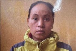 Làm giả phiếu thu tiền đặt cọc để lừa đảo chiếm đoạt tài sản