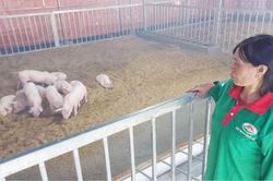 Kinh tế Nông nghiệp - Nông thôn 'Sống khỏe' với nông nghiệp hữu cơ