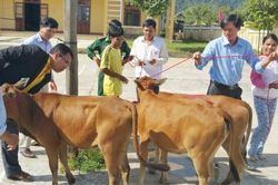 Đời sống Giảm nghèo bền vững vùng đồng bào thiểu số