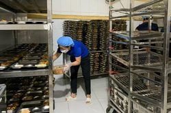 Ngộ độc thực phẩm học đường: SOS