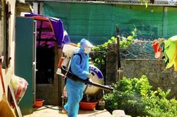 Quảng Bình ghi nhận hơn 8.000 ca mắc sốt xuất huyết