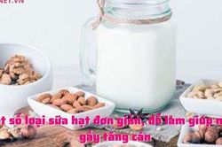 Một số loại sữa hạt đơn giản, dễ làm giúp người gầy tăng cân