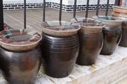 Mẹ bỏ đói con đến chết, giấu thi thể gây rúng động