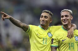 23h ngày 28/11: Brazil quyết tâm sớm giành vé đi tiếp