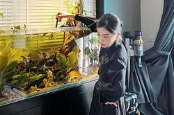 Răm rắp nghe theo lời 'nóc nhà' nhưng Bình An lại nhận cái kết cười ra nước mắt