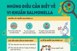 Những điều cần biết về vi khuẩn Salmonella