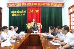 Ban Dân tộc HĐND tỉnh Gia Lai giám sát về phát triển cán bộ, công chức, viên chức dân tộc thiểu số