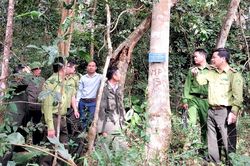 Vai trò kiểm lâm địa bàn trong PCCCR