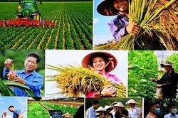 Quyết liệt hơn trong thực hiện Chương trình phát triển kinh tế-xã hội vùng đồng bào dân tộc