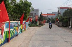 Bắc Giang: Đồng bộ giải pháp, đẩy nhanh tiến độ xây dựng nông thôn mới