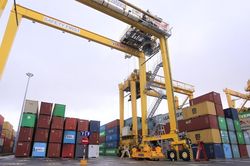 Đà Nẵng chuyển đổi mục đích hơn 3,3ha đất rừng để xây đường nối cảng Liên Chiểu
