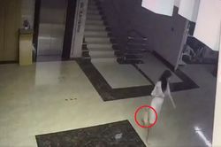 Bé sơ sinh bị vứt ở bãi rác, camera giám sát bóc trần hành động nhẫn tâm của người mẹ trẻ