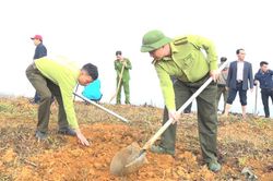 Si Ma Cai phát động phong trào trồng cây ăn quả