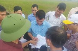 Kinh tế Kinh tế Thống nhất đề nghị điều chỉnh một số vị trí tuyến đường ven sông Bồ