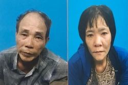 Bắt giữ 2 người chuyên trộm đồ trong đình, chùa ở Hà Nội