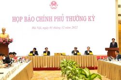 Quốc tế đánh giá kinh tế Việt Nam là điểm sáng trong 'bức tranh màu xám'